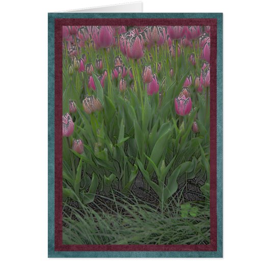 Field of pink tulips cards (Front)