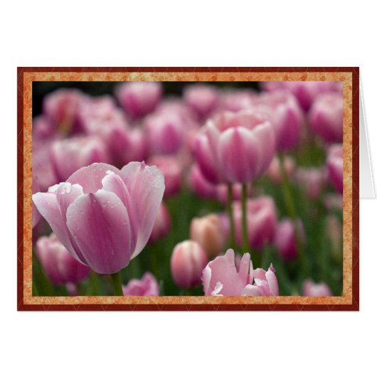 Field of pink tulips cards (Front Horizontal)
