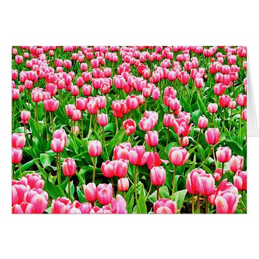 Field of Pink Tulips Cards (Front Horizontal)