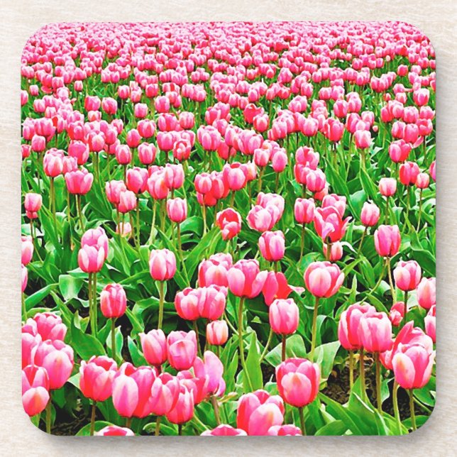 Field of Pink Tulips Drink Coaster (Front)