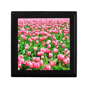 Field of Pink Tulips Gift Box