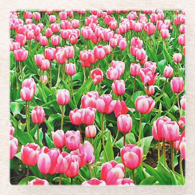 Field of Pink Tulips Glass Coaster (Front)