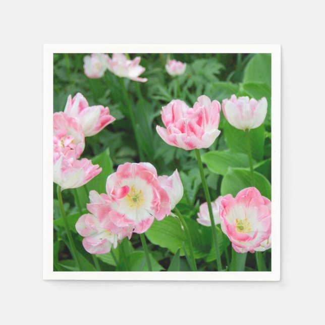 Field of pink tulips napkins (Front)