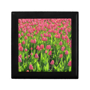 Field of Pink Tulips Photo Gift Box