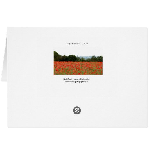 Field of Poppies (Back Horizontal)