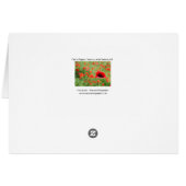 Field of Poppies Cards (Back Horizontal)