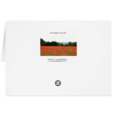 Field of Poppies Cards (Back Horizontal)