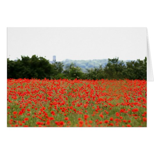 Field of Poppies Cards (Front Horizontal)