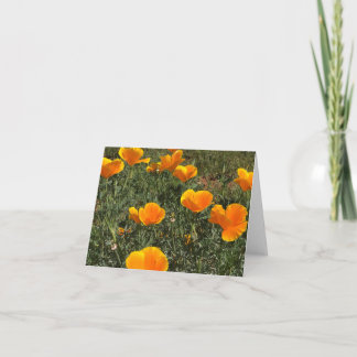 Field of Poppies Letterpress Thank You Card