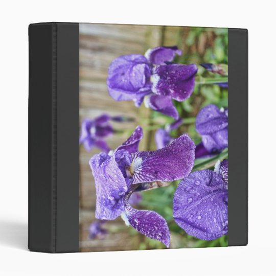 Field of Purple Iris Binder