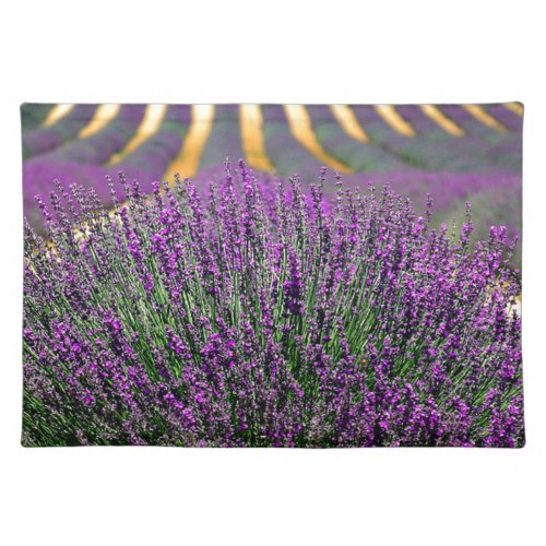 Field of purple lavender placemat