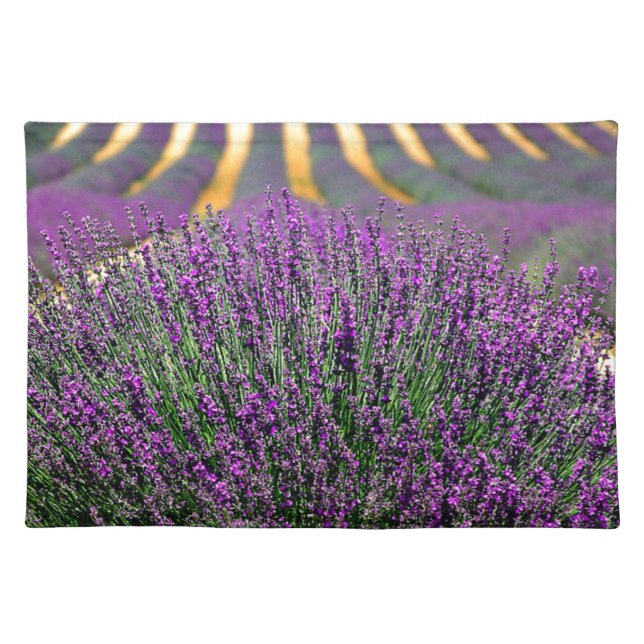 Field of purple lavender placemat (Front)