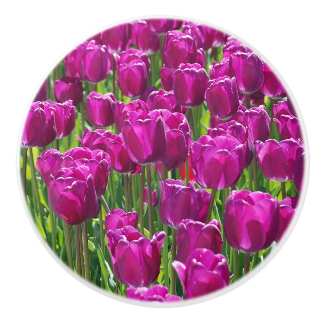 Field of Purple Tulips Ceramic Knob (Front)
