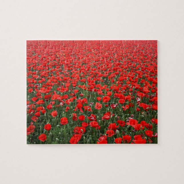Field of Red Poppies Jigsaw Puzzle (Horizontal)