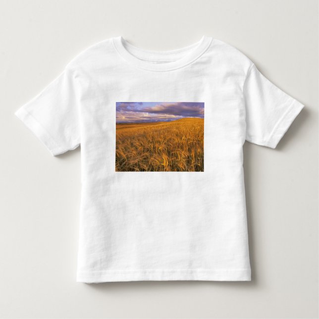 Field of Ripening Barley along the Rocky Toddler T-shirt (Front)