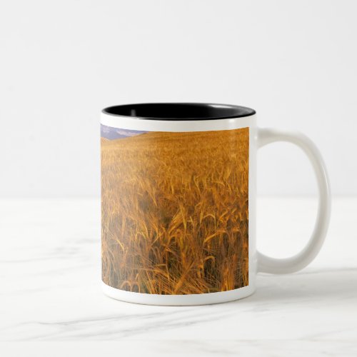 Field of Ripening Barley along the Rocky Two_Tone Coffee Mug