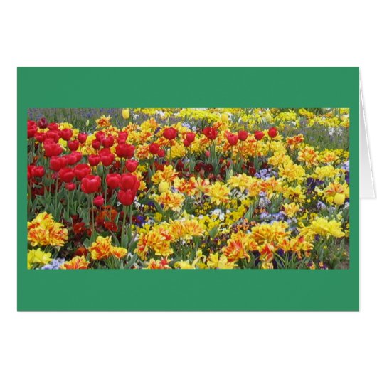 Field of Spring flowers Cards (Front Horizontal)
