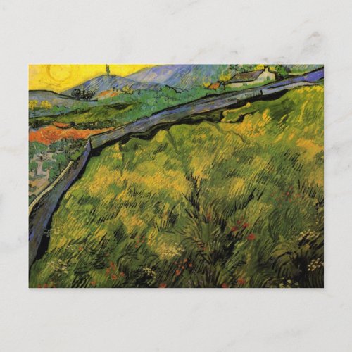 Field of Spring Wheat Sunrise by Vincent van Gogh Postcard