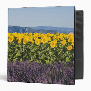 Field of sunflowers and lavender flowers, 3 ring binder