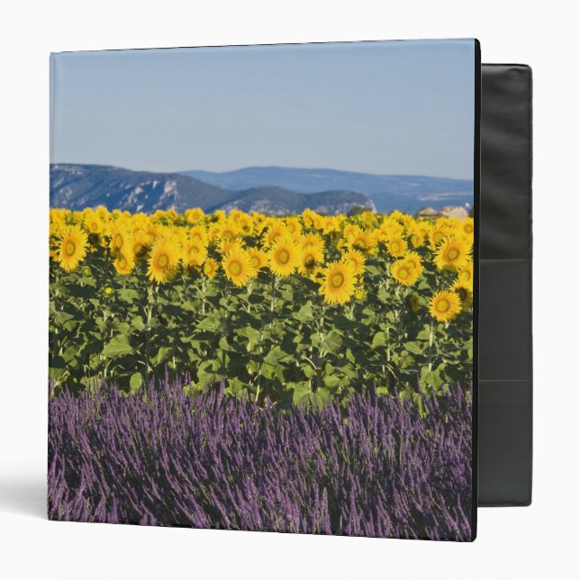 Field of sunflowers and lavender flowers, 3 ring binder (Front/Inside)