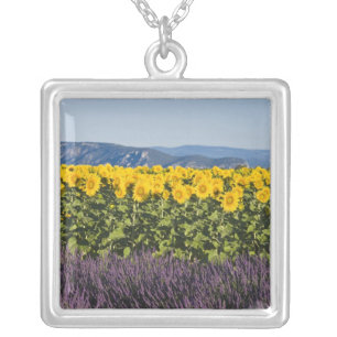 Field of sunflowers and lavender flowers, silver plated necklace