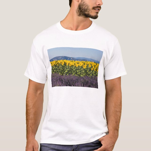 Field of sunflowers and lavender flowers, T-Shirt (Front)