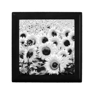 Field of Sunflowers - black, white and grey Keepsake Box