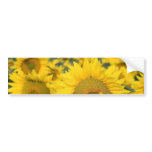 Field of Sunflowers Bumper Sticker