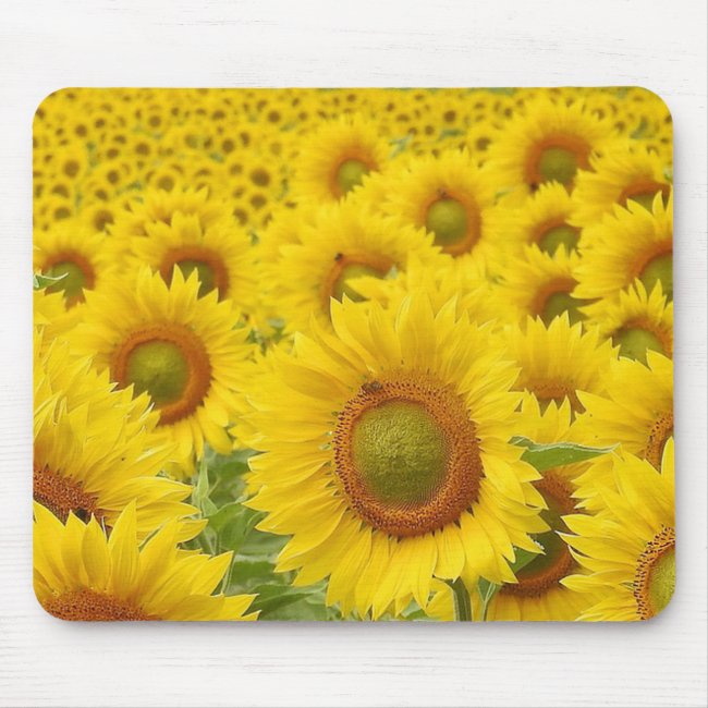 Field of Sunflowers Design