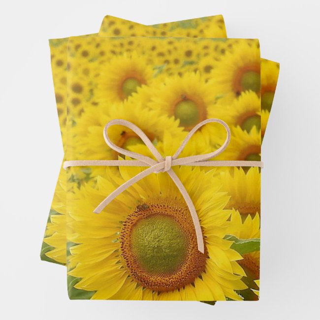 Field of Sunflowers Design Wrapping Paper