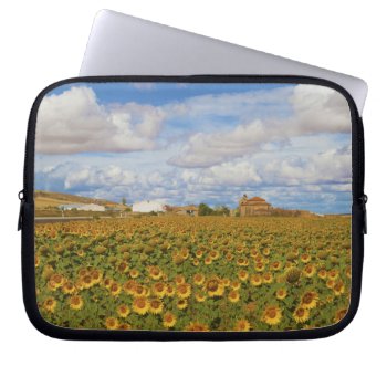 Field Of Sunflowers Helianthus Annuus Laptop Sleeve by allphotos at Zazzle