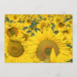 Field of Sunflowers Invitation