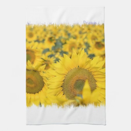 Field Of Sunflowers Kitchen Towel