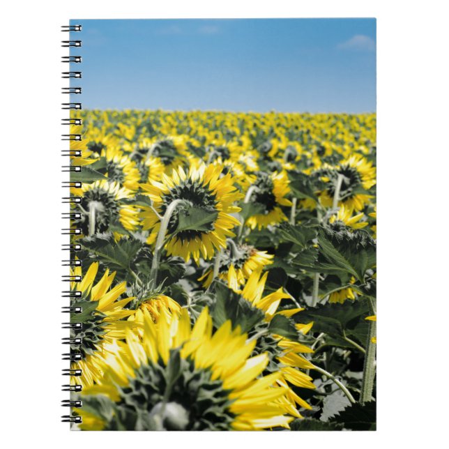 Field of Sunflowers Notebook (Front)