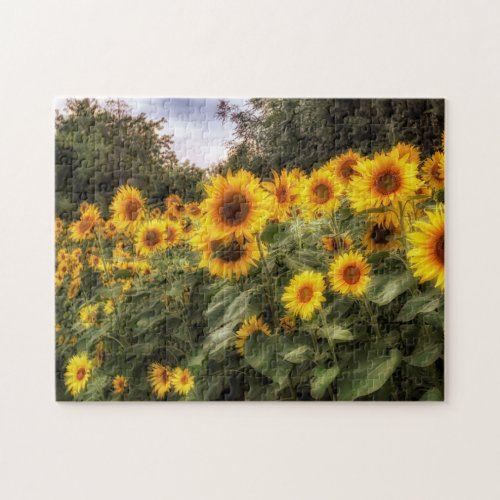 Field of Sunflowers Photograph Jigsaw Puzzle