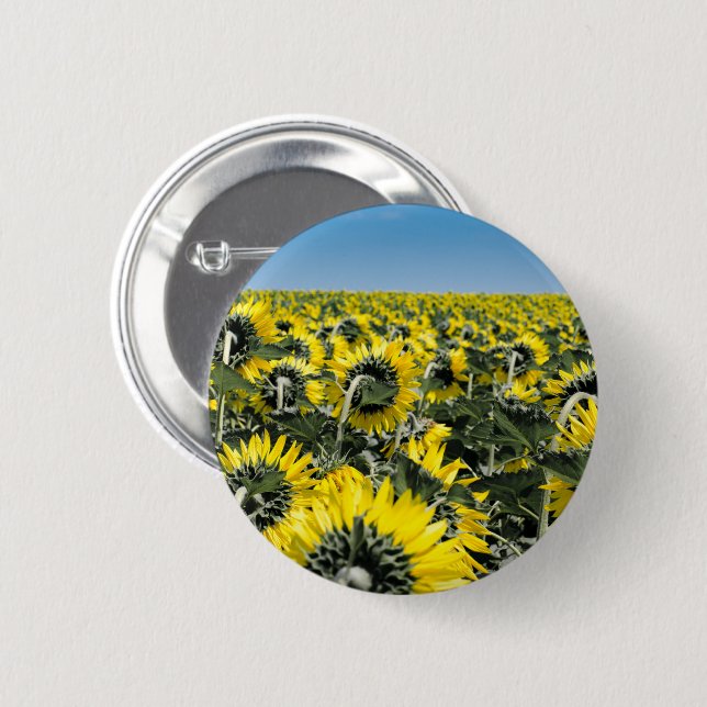 Field of Sunflowers Pinback Button (Front & Back)