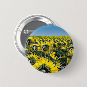 Field of Sunflowers Pinback Button