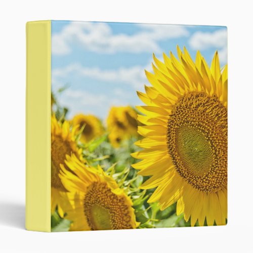 FIELD OF SUNFLOWERS SPECIAL PHOTO ALBUMN 3 RING BINDER