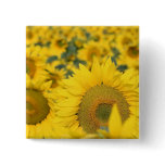 Field of Sunflowers Square Pin