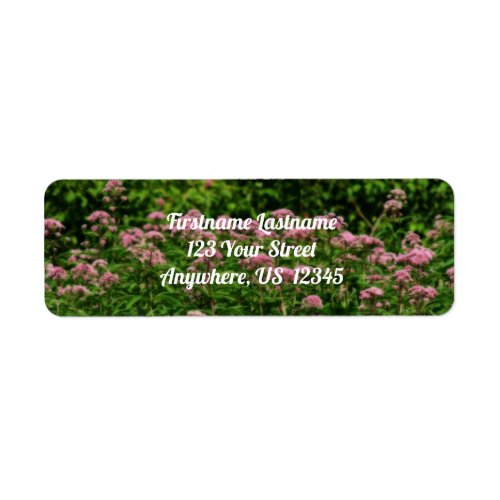 Field Of Sweet Joe Pye Weed Flowers Orton Address Label