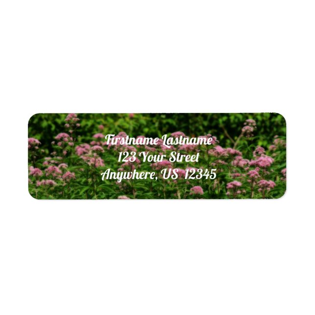 Field Of Sweet Joe Pye Weed Flowers Orton Address Label (Front)