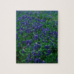 Field of Texas Bluebonnets Jigsaw Puzzle