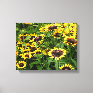 Field of Tiger Eye Flowers Wrapped Canvas Print