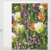 Field of tulips (Front/Back)