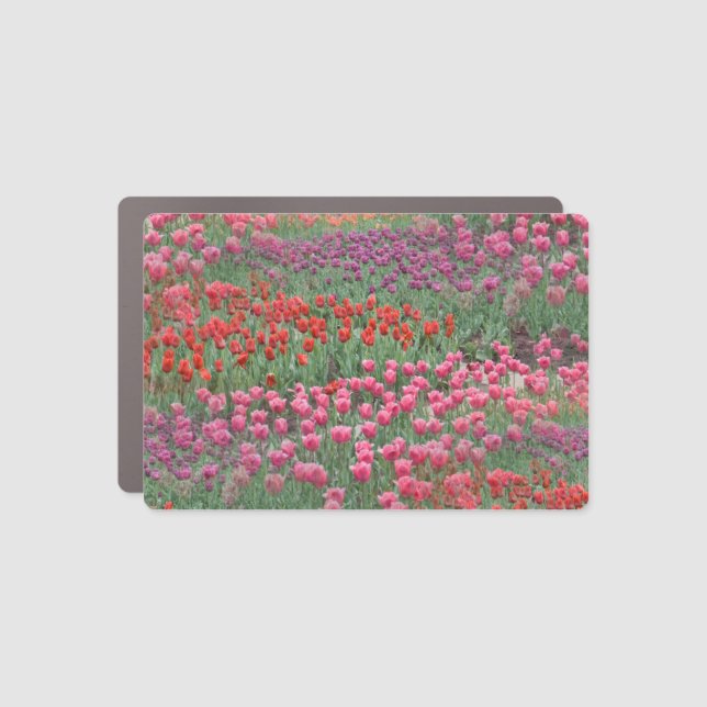 Field Of Tulips Car Magnet (Front)