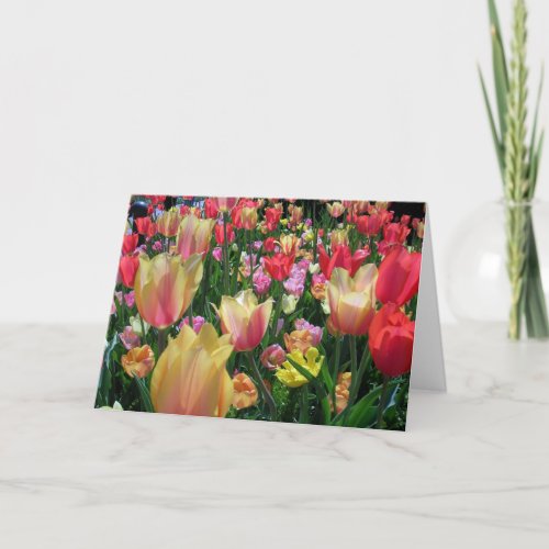 Field of Tulips Card