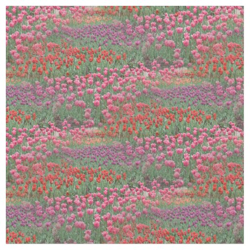 Field Of Tulips Fabric
