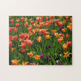Field of Tulips Jigsaw Puzzle