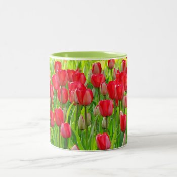 Field Of Tulips Mug by Koobear at Zazzle