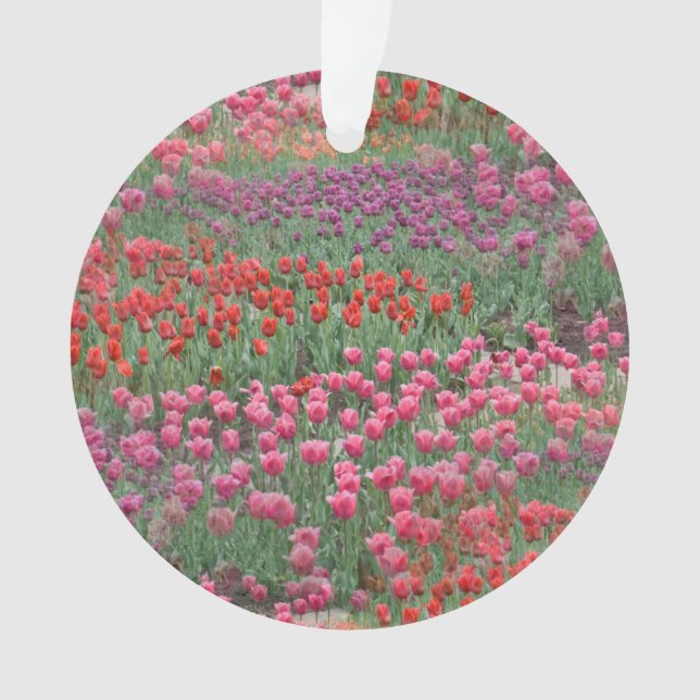 Field Of Tulips Ornament (Front)